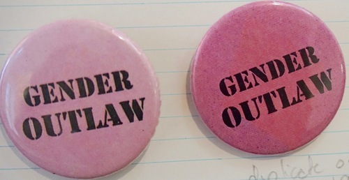 Download the full-sized image of Gender Outlaw (1)
