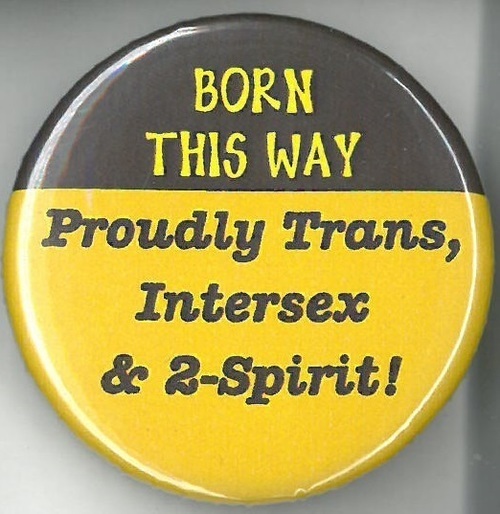 Download the full-sized image of Born This Way: Proudly Trans, Intersex & 2-Spirit