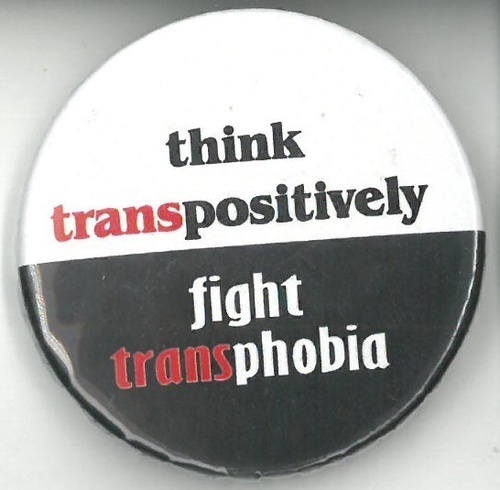 Download the full-sized image of Think Transpositively Fight Transphobia