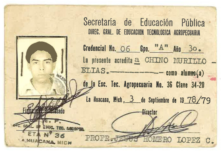 Download the full-sized image of A School Issued ID Belonging to Elia Chinò